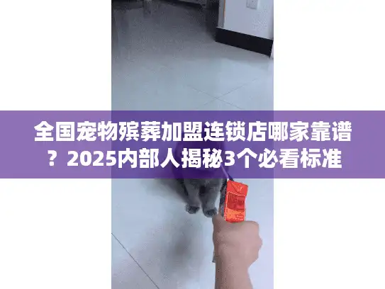 全国宠物殡葬加盟连锁店哪家靠谱？2025内部人揭秘3个必看标准