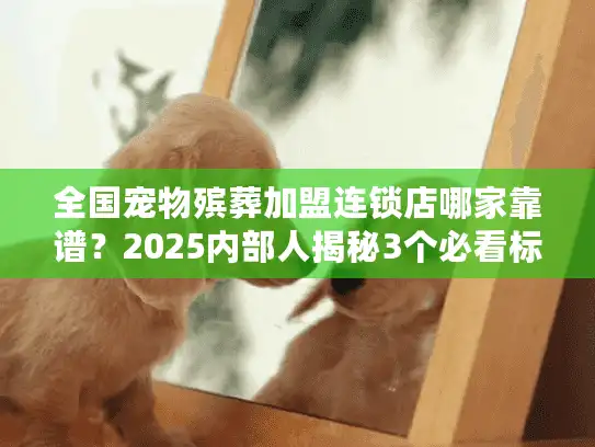 全国宠物殡葬加盟连锁店哪家靠谱？2025内部人揭秘3个必看标准