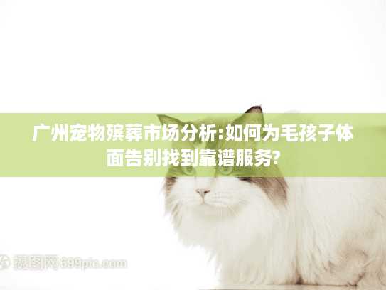 广州宠物殡葬市场分析:如何为毛孩子体面告别找到靠谱服务?