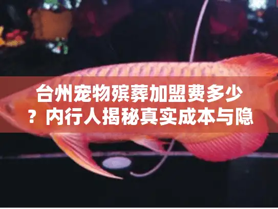 台州宠物殡葬加盟费多少？内行人揭秘真实成本与隐藏坑点（2024最新）