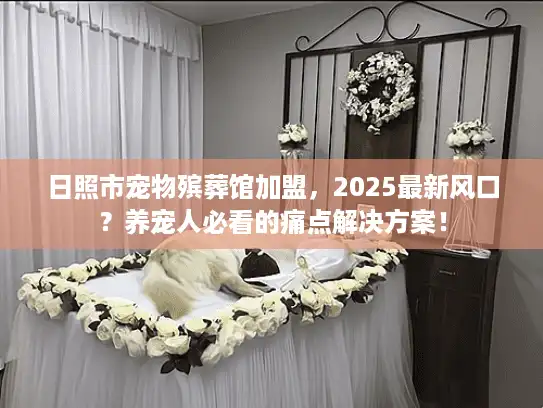 日照市宠物殡葬馆加盟，2025最新风口？养宠人必看的痛点解决方案！