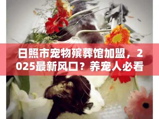 日照市宠物殡葬馆加盟，2025最新风口？养宠人必看的痛点解决方案！