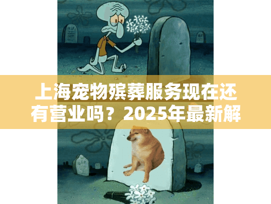 上海宠物殡葬服务现在还有营业吗？2025年最新解答指南