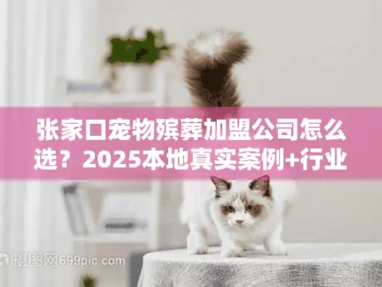 张家口宠物殡葬加盟公司怎么选?2025本地真实案例+行业内行人揭秘 张家口宠物殡葬加盟公司怎么选?2025本地真实案例+行业内行人揭秘