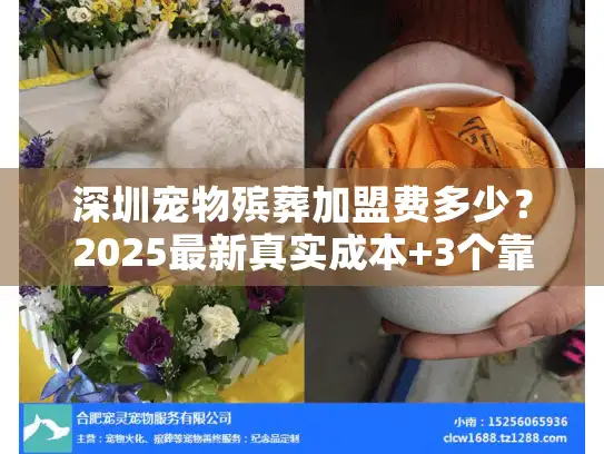 深圳宠物殡葬加盟费多少？2025最新真实成本+3个靠谱品牌加盟案例揭秘