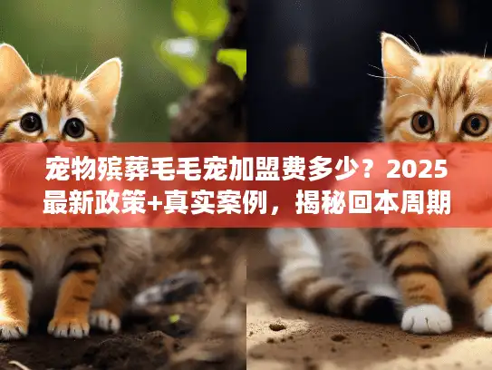 宠物殡葬毛毛宠加盟费多少？2025最新政策+真实案例，揭秘回本周期