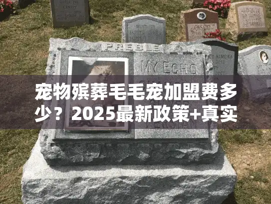 宠物殡葬毛毛宠加盟费多少？2025最新政策+真实案例，揭秘回本周期