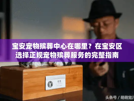 宝安宠物殡葬中心在哪里？在宝安区选择正规宠物殡葬服务的完整指南