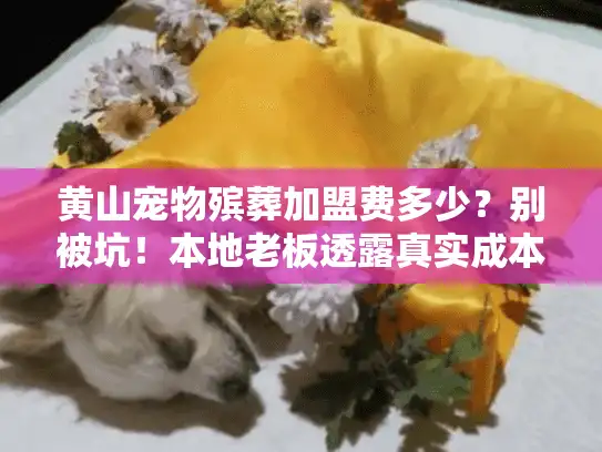 黄山宠物殡葬加盟费多少？别被坑！本地老板透露真实成本+盈利关键