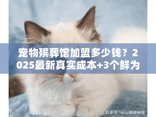 宠物殡葬馆加盟多少钱？2025最新真实成本+3个鲜为人知的隐藏费用揭秘