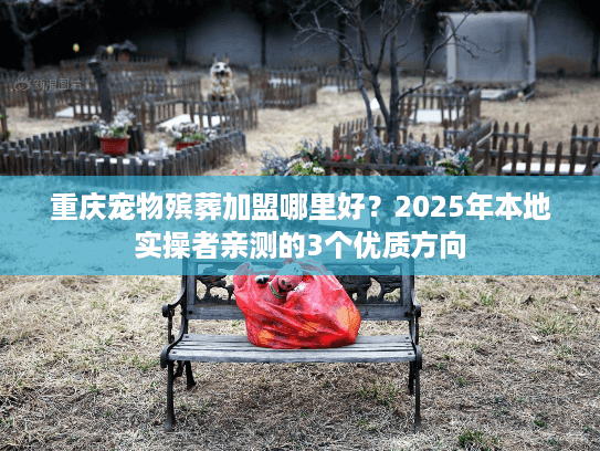 重庆宠物殡葬加盟哪里好？2025年本地实操者亲测的3个优质方向