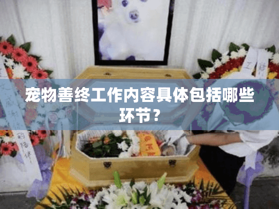 宠物善终工作内容具体包括哪些环节? 宠物善终工作内容具体包括哪些环节?