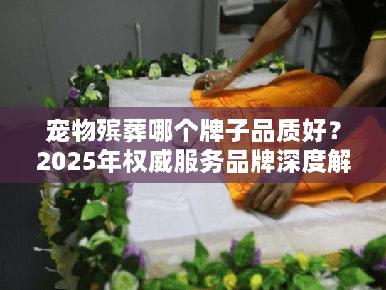 宠物殡葬哪个牌子品质好？2025年权威服务品牌深度解析