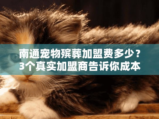 南通宠物殡葬加盟费多少?3个真实加盟商告诉你成本与回报真相! 南通宠物殡葬加盟费多少?3个真实加盟商告诉你成本与回报真相!