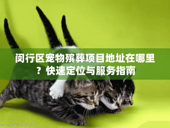 闵行区宠物殡葬项目地址在哪里？快速定位与服务指南