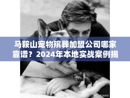 马鞍山宠物殡葬加盟公司哪家靠谱?2024年本地实战案例揭秘+避坑攻略 马鞍山宠物殡葬加盟公司哪家靠谱?2024年本地实战案例揭秘+避坑攻略