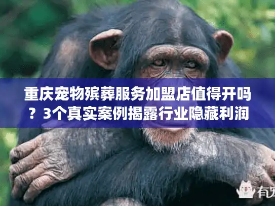 重庆宠物殡葬服务加盟店值得开吗？3个真实案例揭露行业隐藏利润