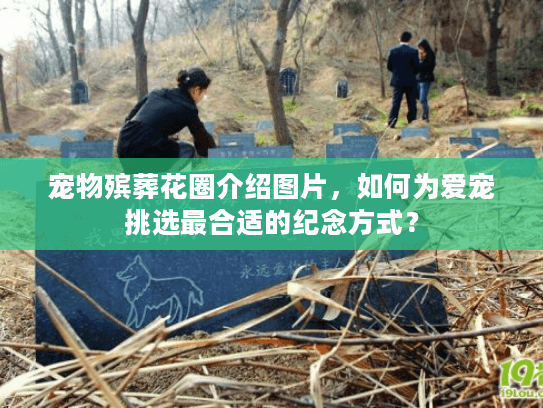 宠物殡葬花圈介绍图片，如何为爱宠挑选最合适的纪念方式？