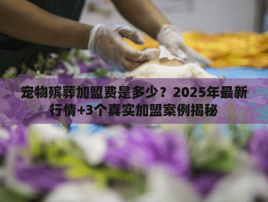宠物殡葬加盟费是多少？2025年最新行情+3个真实加盟案例揭秘
