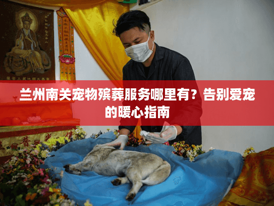 兰州南关宠物殡葬服务哪里有？告别爱宠的暖心指南