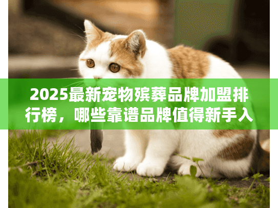 2025最新宠物殡葬品牌加盟排行榜,哪些靠谱品牌值得新手入局? 2025最新宠物殡葬品牌加盟排行榜,哪些靠谱品牌值得新手入局?