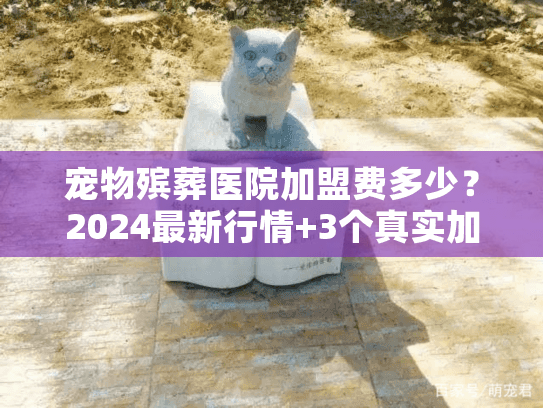 宠物殡葬医院加盟费多少？2024最新行情+3个真实加盟案例揭秘（含隐藏成本）