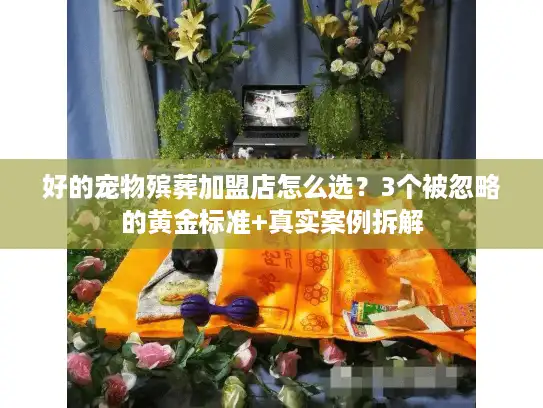 好的宠物殡葬加盟店怎么选？3个被忽略的黄金标准+真实案例拆解