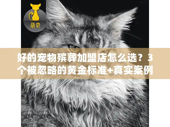 好的宠物殡葬加盟店怎么选？3个被忽略的黄金标准+真实案例拆解