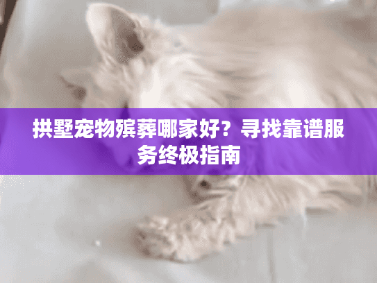 拱墅宠物殡葬哪家好？寻找靠谱服务终极指南