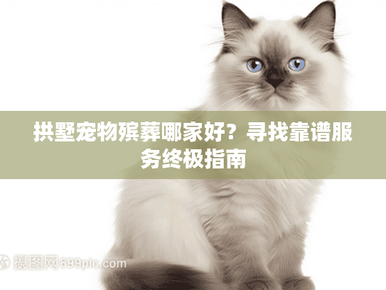 拱墅宠物殡葬哪家好？寻找靠谱服务终极指南