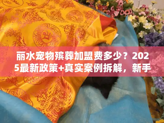 丽水宠物殡葬加盟费多少？2025最新政策+真实案例拆解，新手必看！