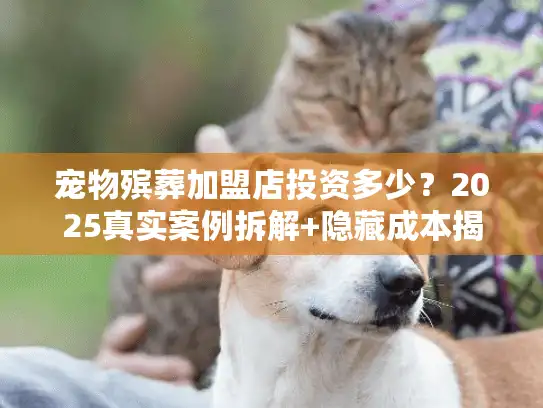 宠物殡葬加盟店投资多少？2025真实案例拆解+隐藏成本揭秘（新手必看）