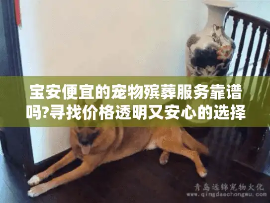 宝安便宜的宠物殡葬服务靠谱吗?寻找价格透明又安心的选择