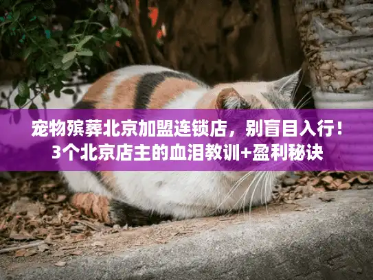 宠物殡葬北京加盟连锁店,别盲目入行!3个北京店主的血泪教训+盈利秘诀 宠物殡葬北京加盟连锁店,别盲目入行!3个北京店主的血泪教训+盈利秘诀