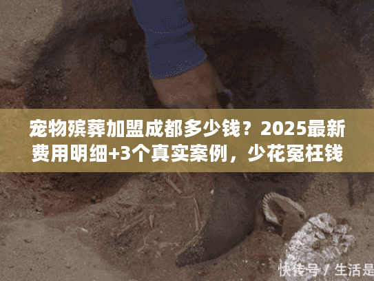 宠物殡葬加盟成都多少钱?2025最新费用明细+3个真实案例,少花冤枉钱 宠物殡葬加盟成都多少钱?2025最新费用明细+3个真实案例,少花冤枉钱