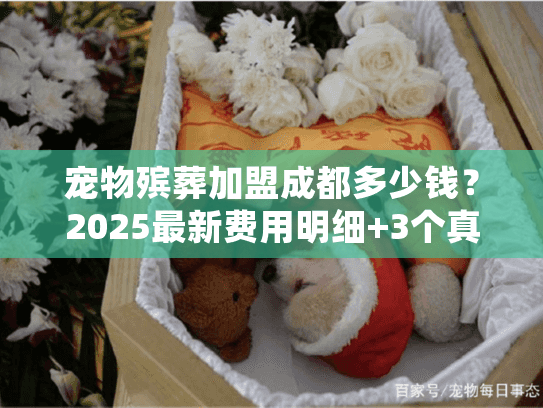 宠物殡葬加盟成都多少钱?2025最新费用明细+3个真实案例,少花冤枉钱 宠物殡葬加盟成都多少钱?2025最新费用明细+3个真实案例,少花冤枉钱