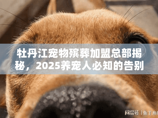 牡丹江宠物殡葬加盟总部揭秘，2025养宠人必知的告别服务真相？