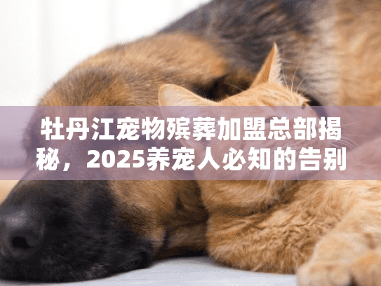 牡丹江宠物殡葬加盟总部揭秘，2025养宠人必知的告别服务真相？