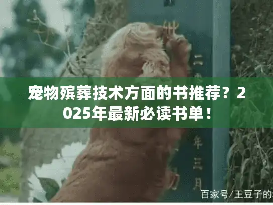 宠物殡葬技术方面的书推荐？2025年最新必读书单！