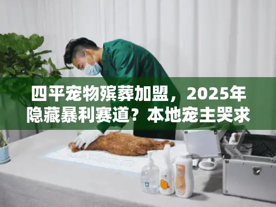 四平宠物殡葬加盟，2025年隐藏暴利赛道？本地宠主哭求的服务你还没入局？
