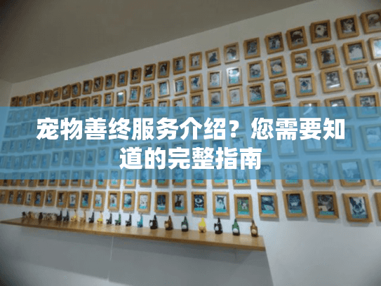 宠物善终服务介绍?您需要知道的完整指南 宠物善终服务介绍?您需要知道的完整指南