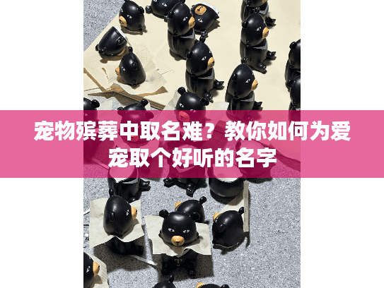 宠物殡葬中取名难?教你如何为爱宠取个好听的名字 宠物殡葬中取名难?教你如何为爱宠取个好听的名字