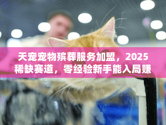 天宠宠物殡葬服务加盟，2025稀缺赛道，零经验新手能入局赚吗？