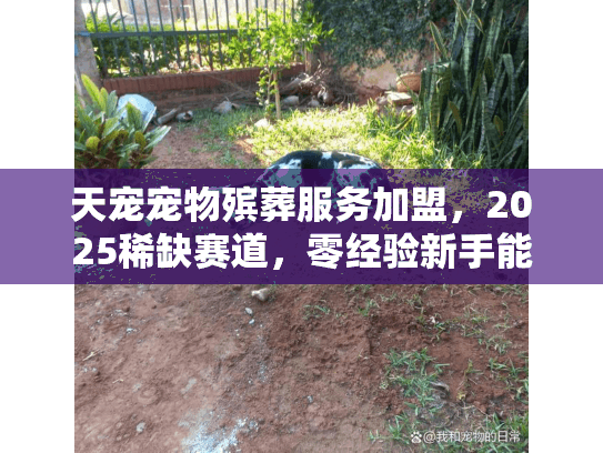 天宠宠物殡葬服务加盟，2025稀缺赛道，零经验新手能入局赚吗？