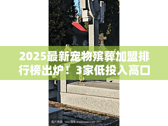2025最新宠物殡葬加盟排行榜出炉！3家低投入高口碑品牌值得你选？