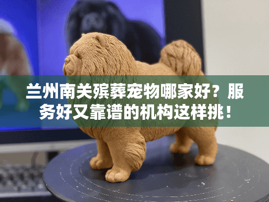 兰州南关殡葬宠物哪家好？服务好又靠谱的机构这样挑！