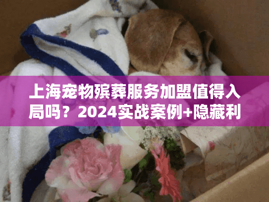 上海宠物殡葬服务加盟值得入局吗？2024实战案例+隐藏利润揭秘（少有人知的3个坑）
