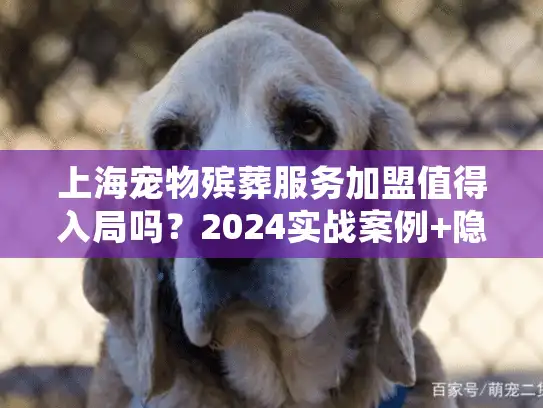 上海宠物殡葬服务加盟值得入局吗？2024实战案例+隐藏利润揭秘（少有人知的3个坑）