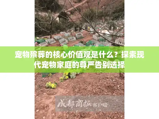 宠物殡葬的核心价值观是什么？探索现代宠物家庭的尊严告别选择