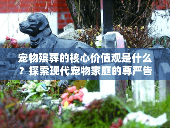 宠物殡葬的核心价值观是什么？探索现代宠物家庭的尊严告别选择